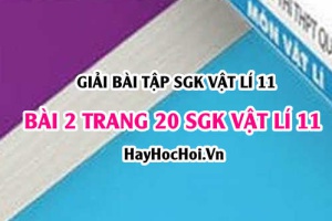 Giải bài 2 trang 20 SGK Vật lí 11